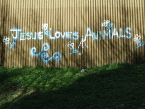 Sloth (USA-2) : The Writing Is on the Wall.